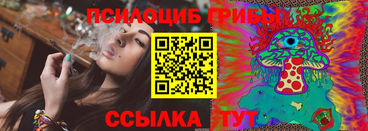 Псилоцибиновые грибы ЛСД  Псилоцибиновые грибы ЛСД  Вход с VPN  Курчалой 