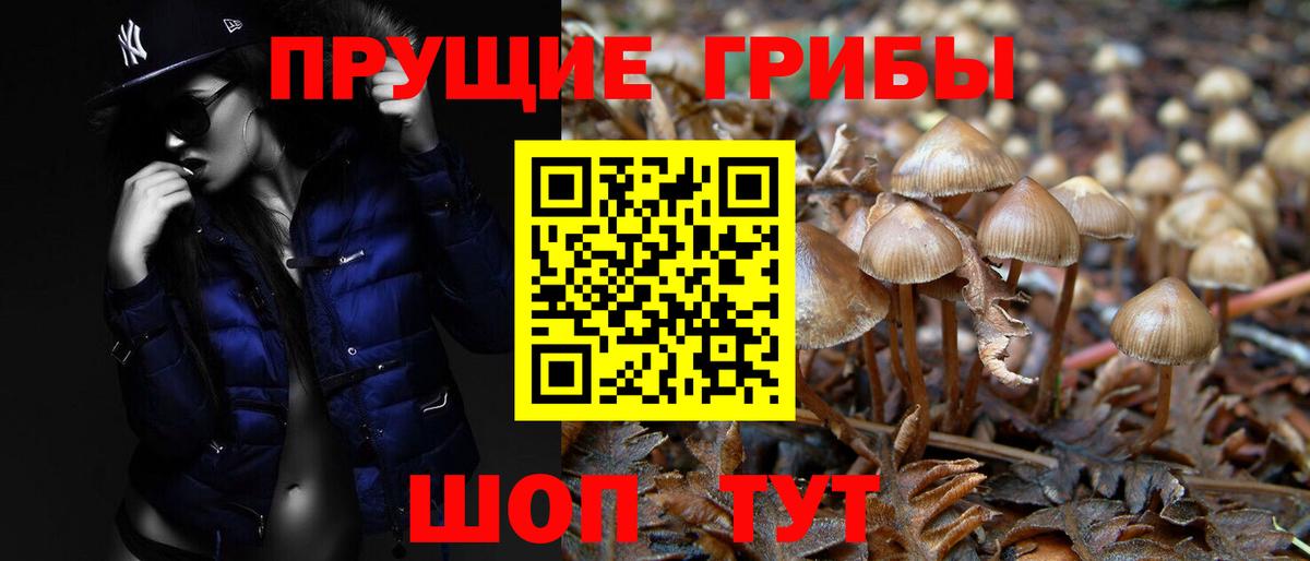 Псилоцибиновые грибы Magic Shrooms Курчалой