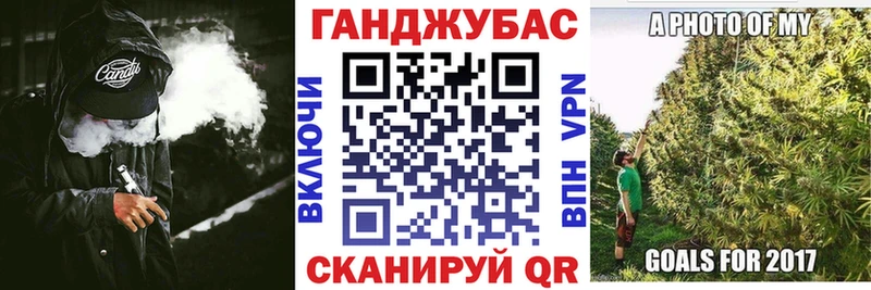 как найти закладки Курчалой Бошки марихуана гибрид