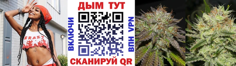 МАРИХУАНА White Widow Курчалой